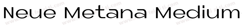 Neue Metana Medium字体转换